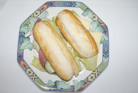 SONY DSC